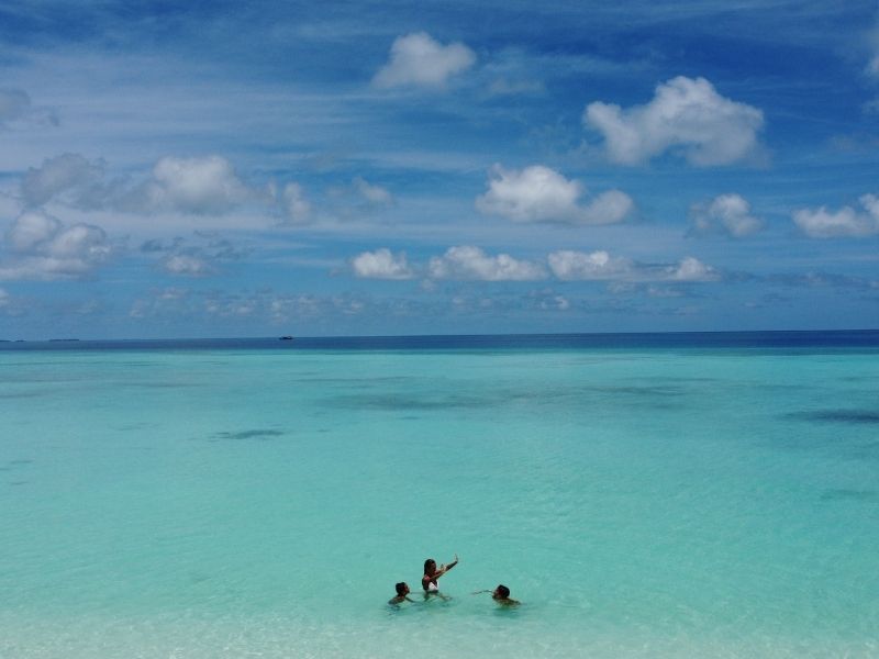 <p>Viaggio alle Maldive - Squalo balena</p>